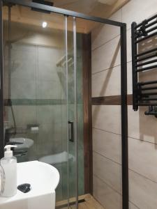 a bathroom with a glass shower and a sink at Domek GAWRA in Ząb +11 photos