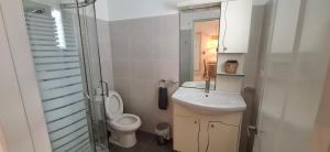 a bathroom with a toilet and a sink and a mirror at Serenity Dominicus in La Laguna