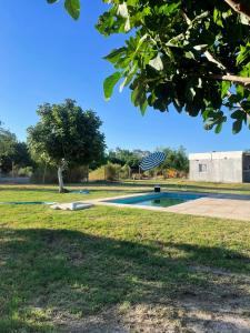 Φωτογραφία από το άλμπουμ του Plumas verde, casa campo σε Médano de Oro