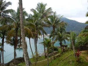 a group of palm trees next to a body of water at Enseada Hotel in Ubatuba
