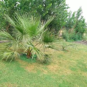 Φωτογραφία από το άλμπουμ του Plumas verde, casa campo σε Médano de Oro