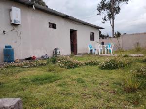 a group of chairs sitting outside of a house at Coney Camping in Ambato