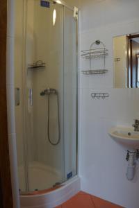 科尔别卢夫Dom w Górach Agro Zibi z zewnętrzną banią z jacuzzi的浴室配有淋浴和洗手池 更多48张照片