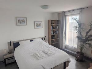 a bedroom with a large white bed and a window at Grande chambre et salle de bain privée et balcon in Strasbourg