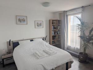 Ảnh trong thư viện ảnh của Grande chambre et salle de bain privée et balcon ở Strasbourg