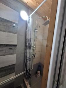 a shower with a shower curtain in a bathroom at Apartman A&J in Žabljak