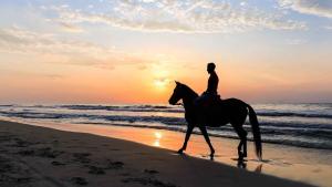 a person riding a horse on the beach at sunset at La Perle Aïn Diab Beachfront in Casablanca