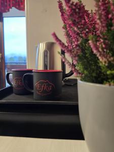 two coffee cups on a counter next to a vase with flowers at Dom Gościnny Efka in Kościelisko