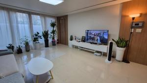 TV a/nebo společenská místnost v ubytování Nick's home01