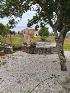 Κήπος έξω από το Tapada das Carvalhas