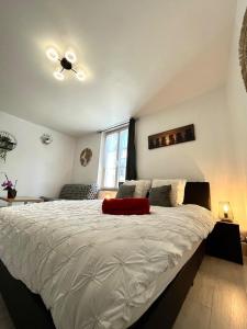 a bedroom with a bed with a red pillow on it at Cocon en vieille ville in Nancy