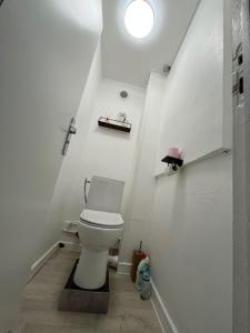 a bathroom with a white toilet in a room at Cocon en vieille ville in Nancy