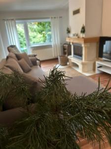 Χώρος καθιστικού στο Lux Plus apartament Chodzież, Zwycięstwa 13