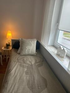 Ένα ή περισσότερα κρεβάτια σε δωμάτιο στο Lux Plus apartament Chodzież, Zwycięstwa 13