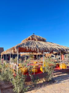 a hut with a thatched roof and chairs in front at Aladdin Desert Camp - Mhamid Erg Chigaga Escape in El Gouera