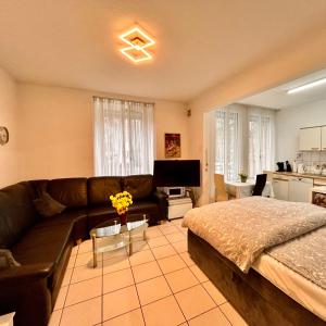 Χώρος καθιστικού στο Soleur