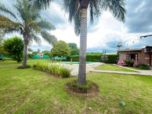 two palm trees in a yard with a pool at Cabaña in Vaqueros