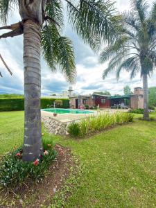 a palm tree in a yard with a swimming pool at Cabaña in Vaqueros
