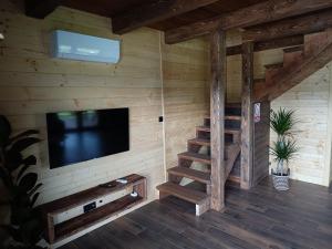 Łowisko Źródła Chatka Zimorodka : غرفة معيشة مع تلفزيون وجدار خشبي
