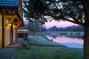 Łowisko Źródła Chatka Zimorodka : منزل به شجرة بجانب بحيرة