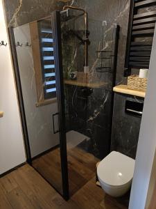 Łowisko Źródła Chatka Zimorodka : حمام مع دش ومرحاض +20 صورة