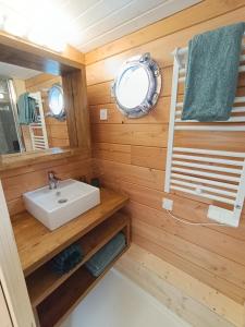 a bathroom with a sink and a mirror at La toue Belle de Maine - Bateau traditionnel de la Loire in Angers