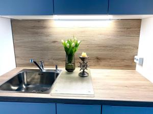 Kuchyň nebo kuchyňský kout v ubytování Helles Apartment über den Dächern Rostocks + 14 fotografií