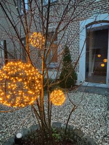 Φωτογραφία από το άλμπουμ του Cièlo σε Tongeren