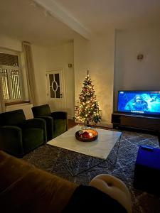 Μια τηλεόραση ή/και κέντρο ψυχαγωγίας στο Cièlo +29 φωτογραφίες