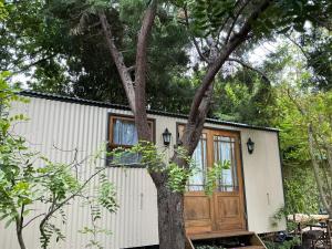 Сад в Swallows Cottages