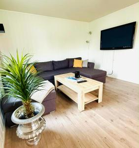 TV a/nebo společenská místnost v ubytování KB Storhaugen House - Sørvågen