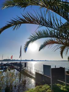 een uitzicht op een waterlichaam met een palmboom bij Ferienhaus Domus in Xanten