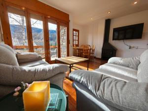 TV a/nebo společenská místnost v ubytování Ca l'Isard