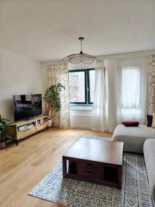 TV a/nebo společenská místnost v ubytování Private room and bathroom in Schlieren Zurich