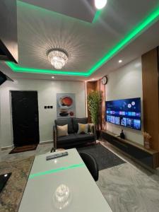 ラゴスにあるHertz Studioのソファとテレビのあるリビングルーム