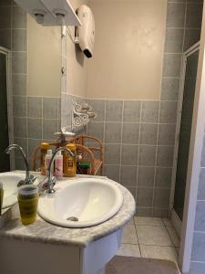 een badkamer met een wastafel en een spiegel bij 2 Chambres dans maison typique in Beaumont-lès-Valence