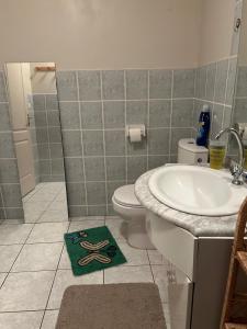 een badkamer met toilet en wastafel bij 2 Chambres dans maison typique in Beaumont-lès-Valence