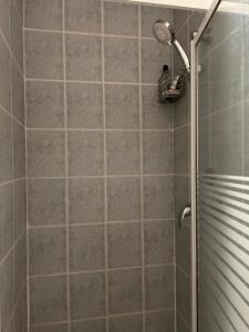 een douche met een douchekop in een badkamer bij 2 Chambres dans maison typique in Beaumont-lès-Valence