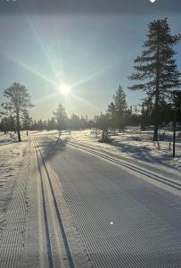Το Magical Winter Days At Sjusjøen τον χειμώνα