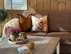 Χώρος καθιστικού στο Magical Winter Days At Sjusjøen +26 φωτογραφίες