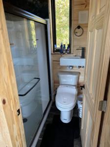 un piccolo bagno con wc e doccia di Kings River Micro Cabin a Eureka Springs Altre 51 foto
