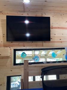 una TV a schermo piatto sulla parete di una cabina di Kings River Micro Cabin a Eureka Springs