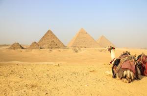 Un camello frente a las pirámides en el desierto. en Delta Pyramids Hotel, en El Cairo
