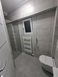 a bathroom with a shower and a toilet and a window at Pansion Kod Brajlovica in Tuzla +4 photos