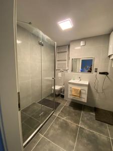 a bathroom with a shower and a sink and a toilet at Moderne 2 Zimmer Wohnung Küche und Bad im Zentrum in Merzig +18 photos