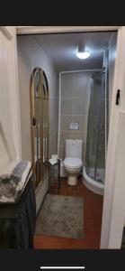 a bathroom with a shower and a toilet in it at The Old Hanging Gate Inn in Madeley +10 photos