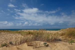 a sandy beach with the ocean in the background at Aux portes de l ocean in Labenne