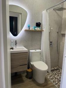 a bathroom with a toilet and a sink and a mirror at Villa Fina Aruba in Palm-Eagle Beach +26 photos