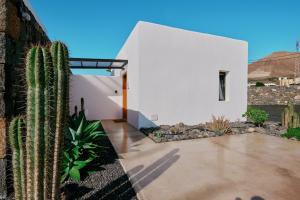 una casa blanca con un cactus delante en Casa del Aljibe - El Estudio, en La Asomada
