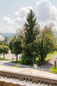 Φυσικό τοπίο κοντά σε αυτό το διαμέρισμα +10 φωτογραφίες